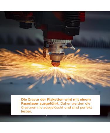 Personalized Bone-Shaped Pendants for Dogs & Cats | Ibera Gifts - Custom Engraved Neck Bands in Gold - Buy Online on GoSupps.com