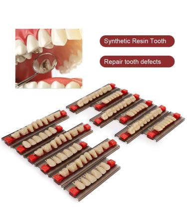 Buy Complete Resin Dentures | High-Quality Artificial Teeth & Dental Supplies for International Shipping - Buy Online on GoSupps.com