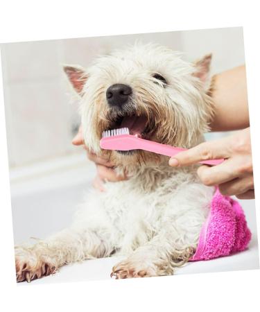 BCOATH 12pcs Double Head Dog Toothbrush Portable Toothbrush Pet Supplies for Small Dogs Doggie Toothpaste Puppy Care Pet Oral Care Set Dog Teeth Cleaning Tools Dog Supply Pet Brush - Buy Online on GoSupps.com