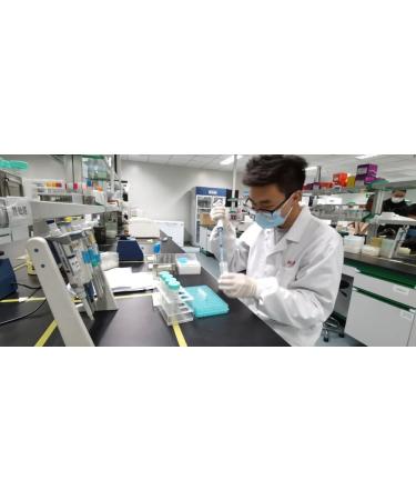 Xylanase/zytase/XynA 22000u/ml Enzymes liquides pour bi re 1000 grammes - Buy Online on GoSupps.com