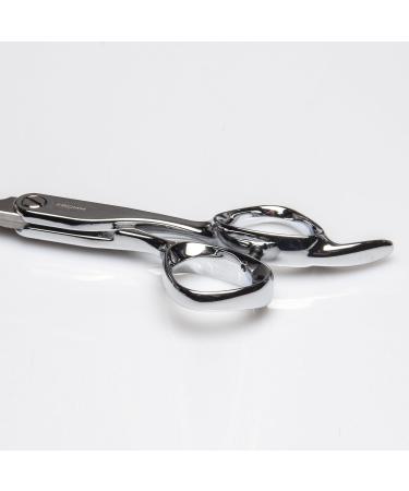 Fromm Professional Explore 5.75" Hair Cutting Shears - Japanese Steel Scissors for Wet & Dry Use Ideal for New & Experienced Stylists Polished Silver Beveled Blade - Buy Online on GoSupps.com