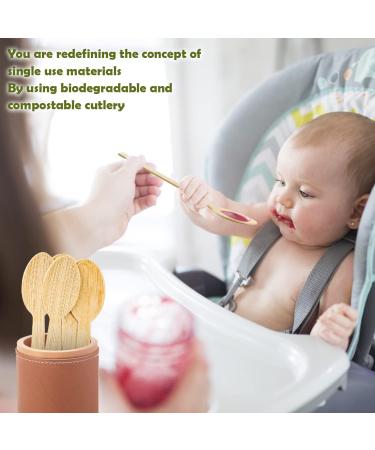 Bamboo Disposable Cutlery-Bamboo Spoons 100PK 6.7" for Travel Camping Utensils Set 100% Biodegradable Compostable Renewable Utensil Natural Spoon 100 spoons - Buy Online on GoSupps.com