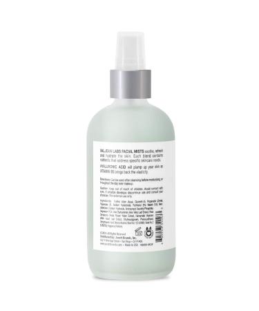 Valjean Labs Hydrating Face Mist with Hyaluronic Acid and Vitamin B5 - 4 fl oz, Paraben Free, Cruelty Free - Made in USA - Buy Online on GoSupps.com