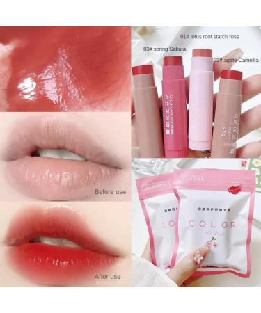 Tinted Lip Balm - Hydrating Jelly Lipstick in 3 Colors | Long-lasting Moisturizing Gloss | Non-Sticky Vivid Color Lip Makeup - Buy Online on GoSupps.com
