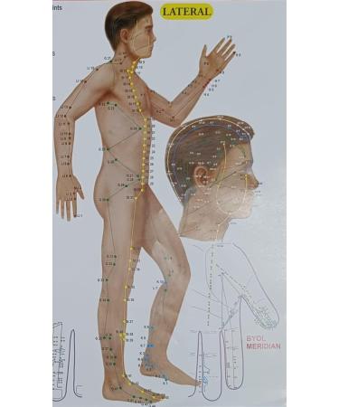 VAIBHAVI 24/7 Acupressure Chart - Complete Acupressure & Acupuncture Poster for Navel Points | International Shipping - Buy Online on GoSupps.com