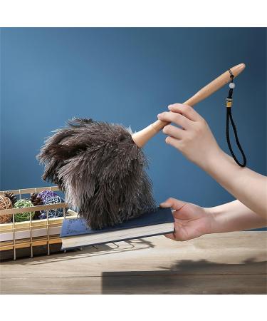Dusting Duster Household Non-linting Dusting Zen Piano Dust Sweeping Duster 40cm Multi-colored - Buy Online on GoSupps.com