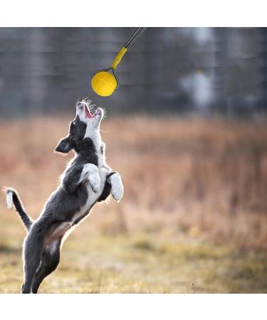 Tekcam Flirt Pole for Dogs | Interactive Tug Ball Toy for Training | Durable Outdoor Chewing Stick for Small to Large Breeds - Buy Online on GoSupps.com