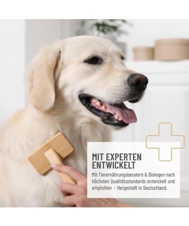 Reavet Fellsnack Omega-3 for Dogs | Healthy Skin & Shiny Fur | Grain-Free Salmon Oil Snack | 170g - Buy Online on GoSupps.com