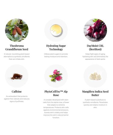 CARROT & STICK The Moisturizer - Antioxidant Skin Moisturizer with Plant Proteins, Vitamins, Peptides - 1oz - Buy Online on GoSupps.com