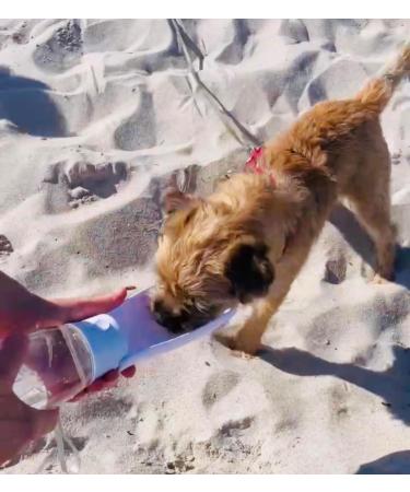 Portable Foldable Dog Drinking Bottle - 550ml BPA Free Dishwasher-Safe Ideal for All Sizes - On-the-Go Hydration (Blue) - Buy Online on GoSupps.com