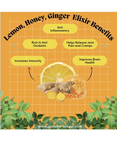 ImmuneSchein Organic Turmeric Ginger Elixir Shots - USA Made Wellness Elixirs in Glass Bottles, 8.5 fl oz - Buy Online on GoSupps.com