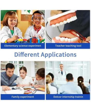 Foragrl 6x Enlarged Teeth Mouth Model | Metal Hinge | Complete PVC Speech Therapy Tool with Removable Tongue - Easy to Use for International Shipping - Buy Online on GoSupps.com