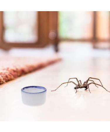 VILLCASE Mealworm Bowl 12PCS Reptile Water Sink Ceramic Reptile Water Dish Spider Drinking Basins Mini Pets Water Bowls for Spider Tarantula Small Reptile 2. 00X2. 00X1. 00cm Reptile Water Bowl - Buy Online on GoSupps.com