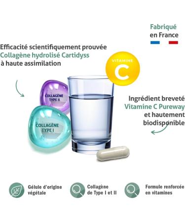 Blanc Bresson Marine Collagen Joint Flexibility and Bone Strengthening Patented Type 1 and 2 Marine Collagen Vitamins B3 C D and E 90 Capsules Made in France - Buy Online on GoSupps.com