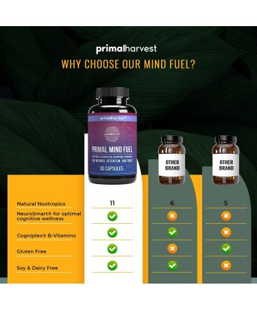 Primal Harvest Primal Mind Fuel Brain Supplement - 30 Capsules for Focus, Energy, Clarity, and Memory - Nootropic Brain Support for Men and Women - Buy Online on GoSupps.com