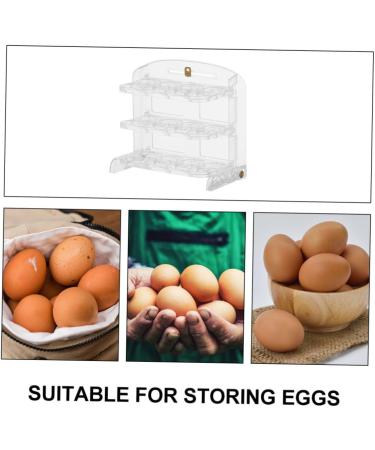 DOITOOL 2pcs Egg Storage Box Eggs Plastic Trays Egg Tray Fridge Organizer Camping Egg Carton re-usable - Buy Online on GoSupps.com