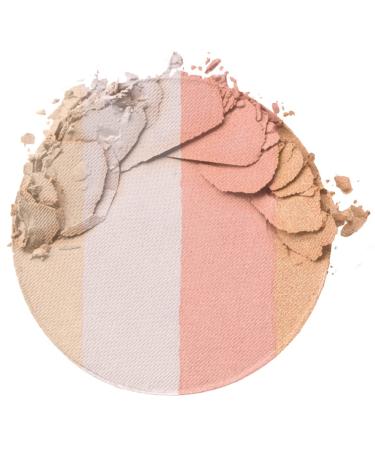 Wet n Wild Megaglo Illuminating Blush Palette Catwalk Pink - Blush & Highlighter Makeup - Buy Online on GoSupps.com