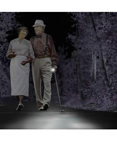 Foldable Walking Stick Teles Walking Stick with Lightweight Ergonomic Handle Crutches Aluminum Alloy Height Adjustable Mobility Aid for Elderly Non-Slip Base (Red 1) Journey - Buy Online on GoSupps.com