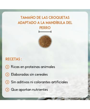 NUTRIVET - INNE Dog - Grain-free kibble - Adult dog - Poultry - 80% ingredients of animal origin - 12 kg - Buy Online on GoSupps.com