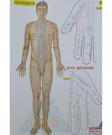 VAIBHAVI 24/7 Acupressure Chart - Complete Acupressure & Acupuncture Poster for Navel Points | International Shipping - Buy Online on GoSupps.com