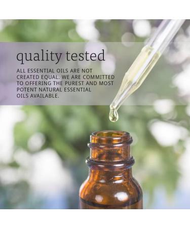NOW Pine Needle Oil (Pinus sylvestris) 30 g - Buy Online on GoSupps.com