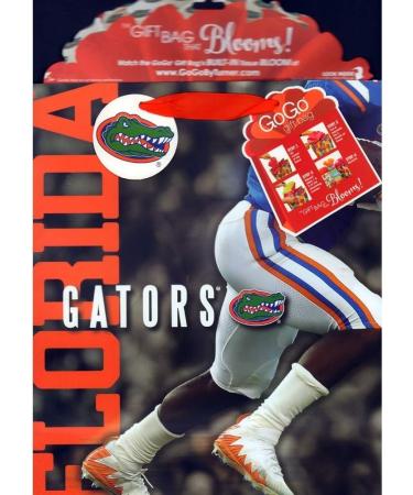 Florida Gators Large Gogo Gift Bag - Official Turner Sports (Old) Merchandise - Buy Online on GoSupps.com