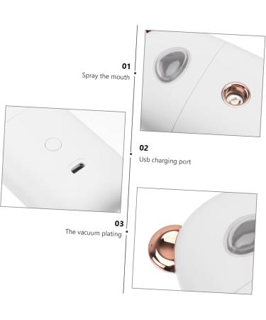 FOMIYES 2 Pcs Beauty Humidifier Portable Portable Humidifiers Face Sprayer Usb Evaporator - Buy Online on GoSupps.com