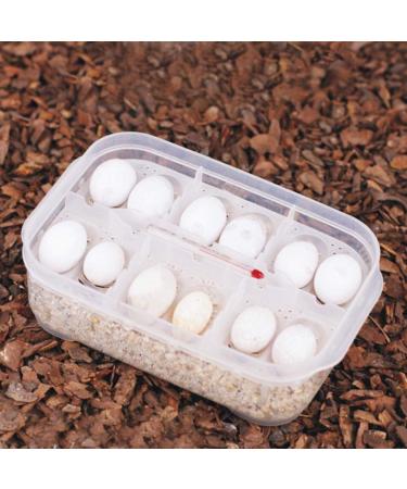 Cosiki Transparent Durable Professional Lizards Reptile Incubation Box Reptile Hatchery Box Reptile Tank Reptile Breeding Box for Hatching Gecko Lizard - Buy Online on GoSupps.com