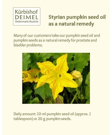Kürbishof DEIMEL Original Styrian Pumpkin Seed Oil - Oil cans - modern & stylish - 1000ml - Buy Online on GoSupps.com