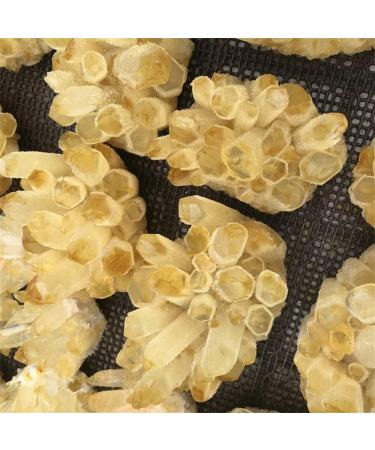 Natural Crystal Rough Home Decoration Natural Yellow Ghost Phantom Quartz Crystal Cluster Specimen Home Decoration Office Living Room Crystal Decora Stones (Size : 300-400g) - Buy Online on GoSupps.com