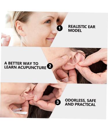 Healifty 1 Pair Fake Ear | Simulated Ear Model for Practice | Ear Cleaning and Acupoint Learning Tool - Buy Online on GoSupps.com