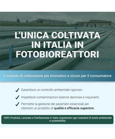  Ethos ETHOS Spirulina Powder 100g - Pure Spirulina algae powder produced and packaged in Italy natural superfood for creative cooking vegan supplement rich in phycocyanin and protein free from - Buy Online on GoSupps.com