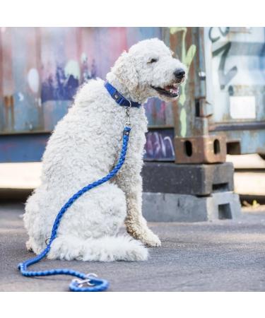 Trixie Cavo Dog Leash S-M - 1m 12mm Indigo/Royal Blue - Short Leash for Small to Medium Dogs | Best Control - Buy Online on GoSupps.com