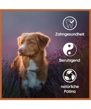 Wildfang Leather Chew for Dogs & Puppies - Naturally Tanned Soft Dog Toys 3x Set Perfect for Dogs up to 15kg - Buy Online on GoSupps.com