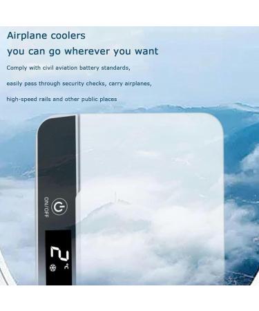 Portable High-Capacity Insulin Refrigerator Double-Layer Refrigerator Small Medical Travel Refrigerator USB Display Screen LED Travel Box Medicine Refrigerator 2- 2*battery - Buy Online on GoSupps.com