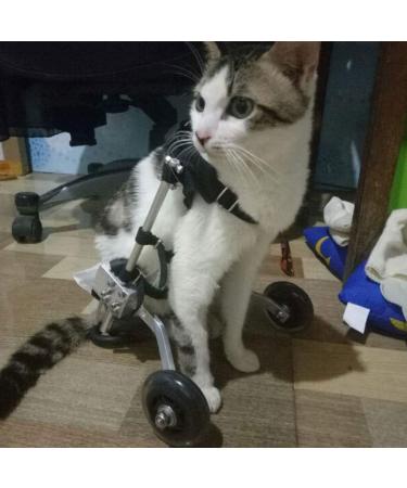 Dog Wheelchair for Back Legs 5 Types Cart Pet Wheelchair for Handicapped Hind Legs Small Dog Cat/Doggie/Puppy Walk Stainless Steel XXS-M (Size : XS) X-Small - Buy Online on GoSupps.com