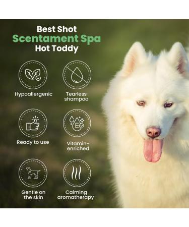 Best Shot Scentament Spa 16 Oz - Hypoallergenic Body & Facial Wash Tearless Shampoo Removes Tear Stains | Hot Toddy Scent for Sensitive Skin - Buy Online on GoSupps.com