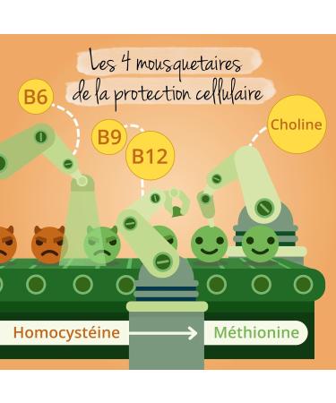 Vegavero Vitamin B12 1000 mcg | From France & Spain | The Only One Without Additives & Vegan | With 2 Active Forms + Folic Acid + B6 + Choline | Energy + Anti-Fatigue | 180 Capsules - Buy Online on GoSupps.com