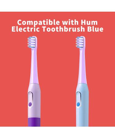 Replacement Toothbrush Heads for Colgate Hum Smart Toothbrush - Compatible Refill Heads (Purple) - International Shipping Available - Buy Online on GoSupps.com