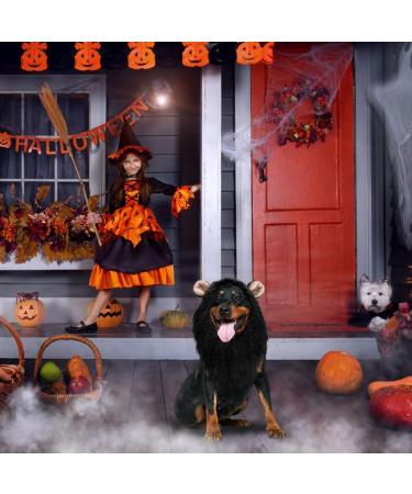 Vivifying Lion Mane Dog Costume - Adjustable Halloween Wig with Ears for Medium & Large Dogs (Black) - Buy Online on GoSupps.com
