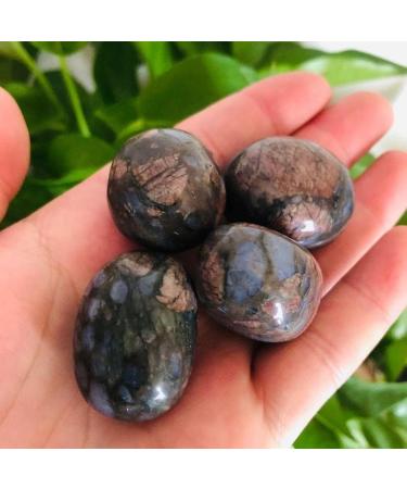 Specimen Healed 20g-30g Mini Size Natural Quartz Crystal Stone for Home Decoration 4pc As a Gift FZUGEDRLI - Buy Online on GoSupps.com