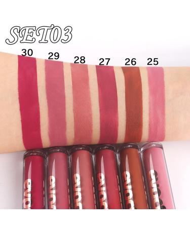 evpct Peony Flower Liquid Matte Lipstick - B-Set03 - Pack of 6 - Buy Online on GoSupps.com