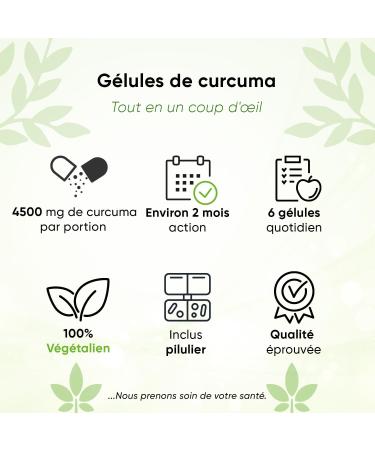 Turmeric Forte - 365 capsules - 4500mg per daily serving - with pill box - high dose - vegan - black pepper - lab tested - Buy Online on GoSupps.com