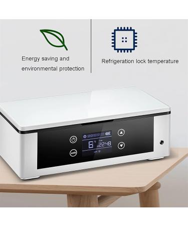 ZZBB Portable Medicine Reefer Mini Medicine Constant Temperature Refrigerato Portable Reefer Car Small Refrigerator Portable Insulin Cooler Refrigerated - Buy Online on GoSupps.com