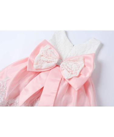 LZH Baby Girls Lace Dress | Wedding Pageant Baptism Christening Tutu Gown 0-24 Months | Baby Pink - Buy Online on GoSupps.com