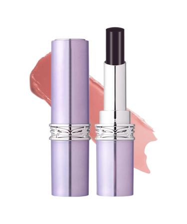 Moisturizing Lipstick Waterproof Color-Changing Lipstick | Lip Moisturizer with 5 Shades | Long-Lasting Lipstick for All Skin Types Daily Makeup