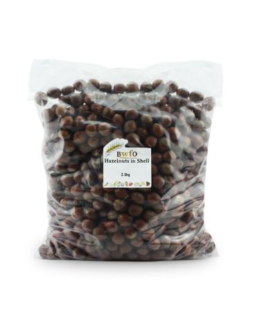Hazelnuts in Shell 2.5kg (BWFO) - Buy Online on GoSupps.com