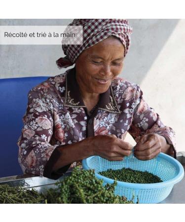 Organic & PGI Kampot White Peppercorns - 100g - La Brigade des pices - PREMIUM - Whole grains - Packaged in France - Buy Online on GoSupps.com