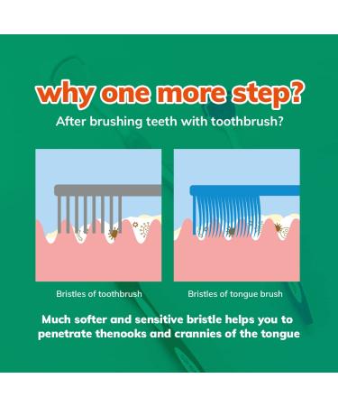 Toothnote Dual Tongue Scraper Brush - Sensitive Tongue Care - BPA-Free 3 Pack Tongue Cleaner Set - Buy Online on GoSupps.com