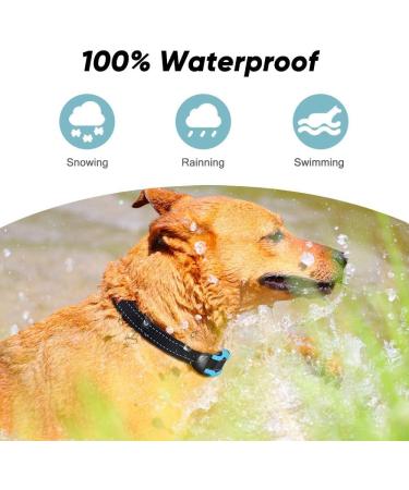 PcEoTllar Electric Fence for Dogs Rechargeable Underground Dog Fence System 1 dog Receiver Waterproof Collar with 656Ft Underground Boundary Wire For 1 dog - Buy Online on GoSupps.com